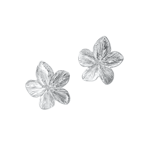 Zilver